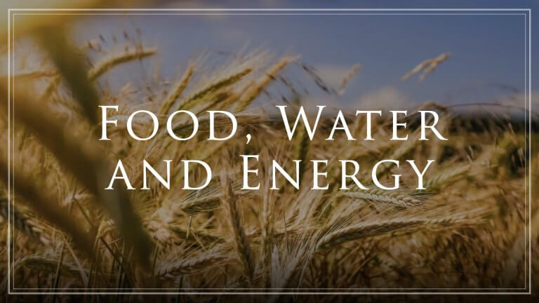 Cibo, Acqua ed Energia