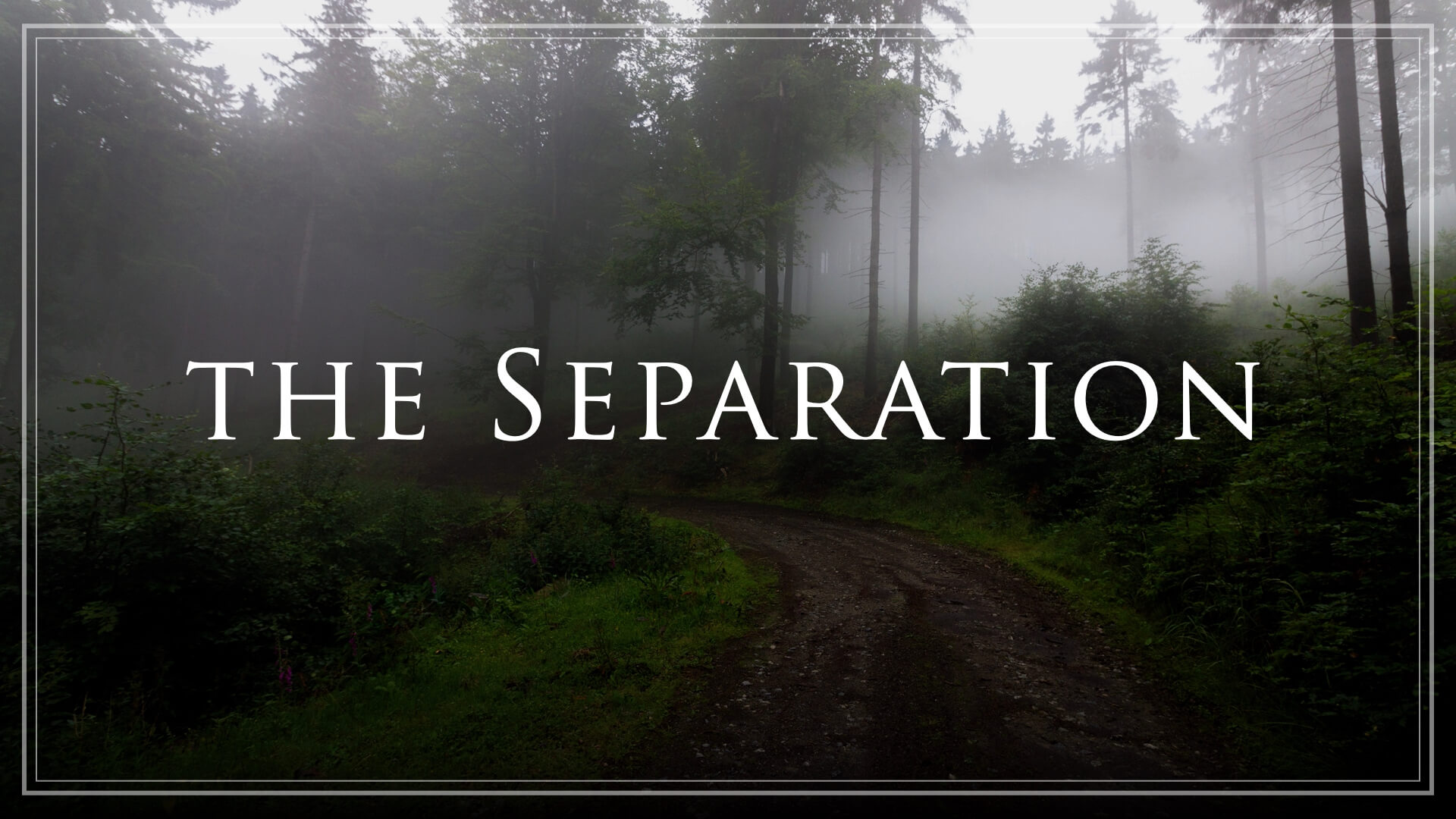 The Separation